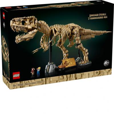Dinosaur Fossils: Tyrannosaurus rex