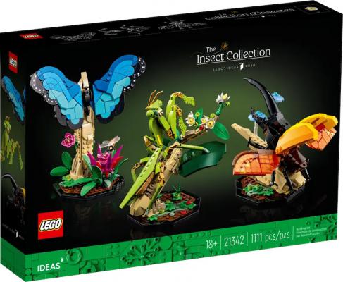 Ideas De insectencollectie