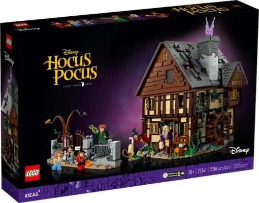 Disney Hocus Pocus