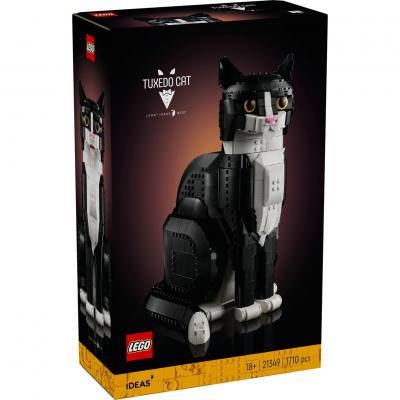 Zwart-witte kat